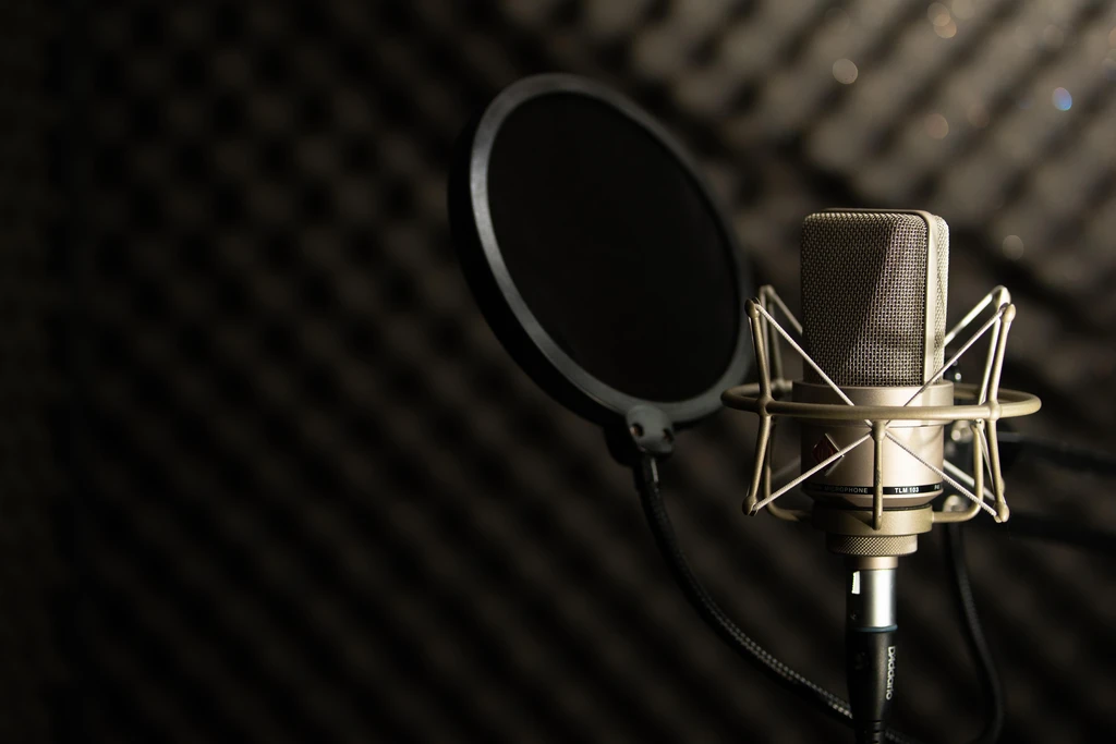 voice over dubbing studio neumann tlm 103 microphone anti pop vocal booth
