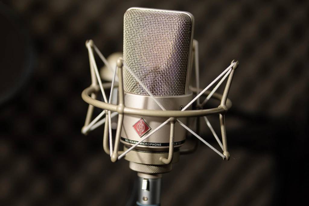 My Neumann TLM 103 Condenser Microphone and its shockmount 
