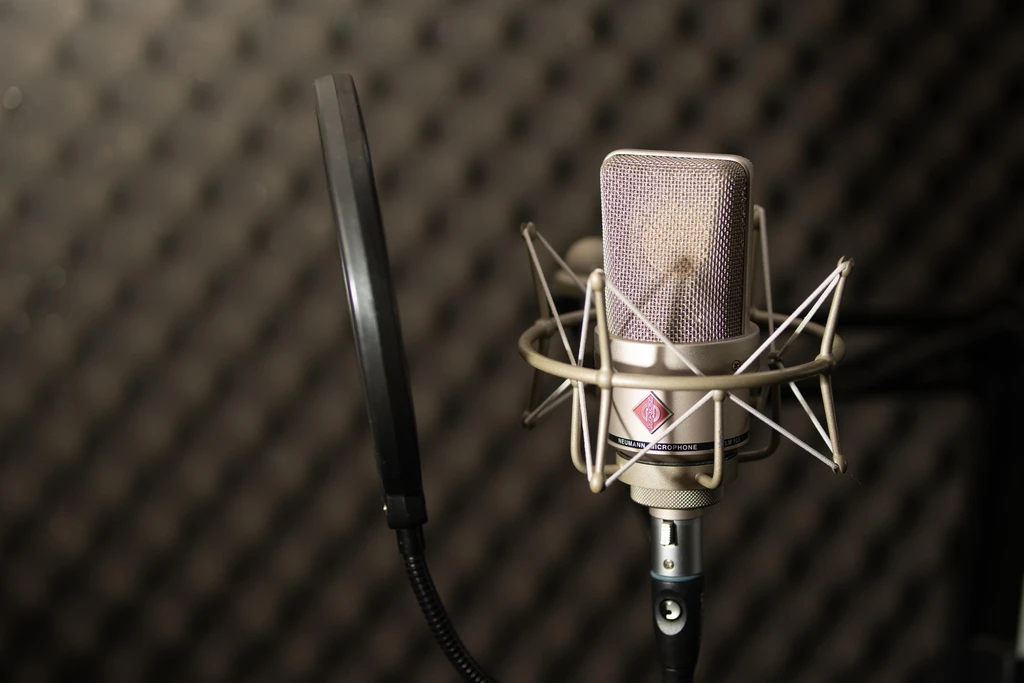 My Neumann TLM 103 Condenser Microphone, its shockmount and anti-pop, in my vocal booth
